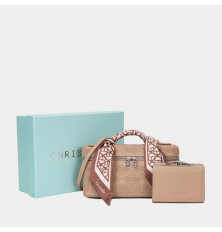 AA012412071 حقيبة صغيرة...